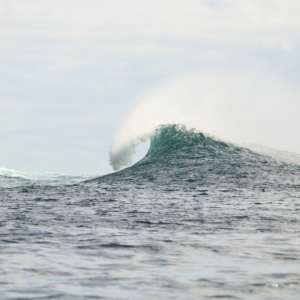 ILHAS GALÁPAGOS - Image 10