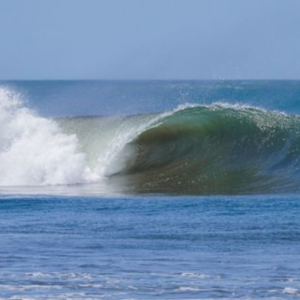 MIRAMAR SURF CAMP - Image 8