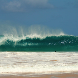 FERNANDO DE NORONHA - Image 5