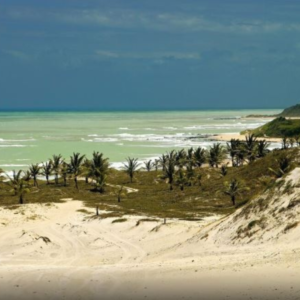 BAIA FORMOSA - BRASIL - Image 7