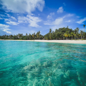 BARCA - MENTAWAII ON BOARD! - Image 11