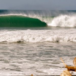 TAMARINDO & JACÓ - COSTA RICA - Image 3