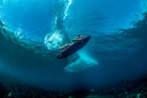 MENTAWAII ISLAND – PLAYGROUNDS SURF RESORT - Image 3