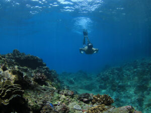 MENTAWAII ISLAND – MACARONIS RESORT - Image 6