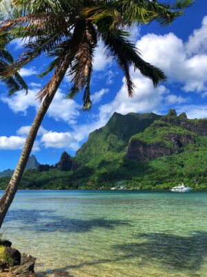 TAHITI – EXPEDIÇÃO SURF NA POLINÉSIA FRANCESA - Image 5