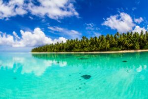 POHNPEI SURF CLUB – MICRONÉSIA - Image 5