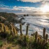 CHILE - Surf & Vinícolas - Image 2