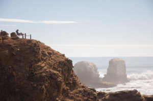 CHILE - Surf & Vinícolas - Image 3