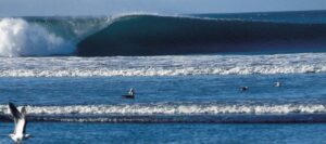 CHILE - Surf & Vinícolas - Image 5