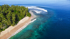 MENTAWAII ISLAND – PLAYGROUNDS SURF RESORT - Image 2