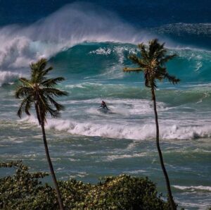 RINCON - PUERTO RICO - Image 5