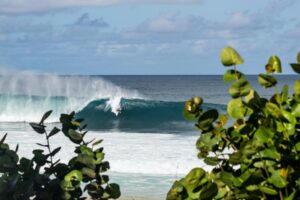 HAWAII – EXCLUSIVE EXPERIENCE - Image 10