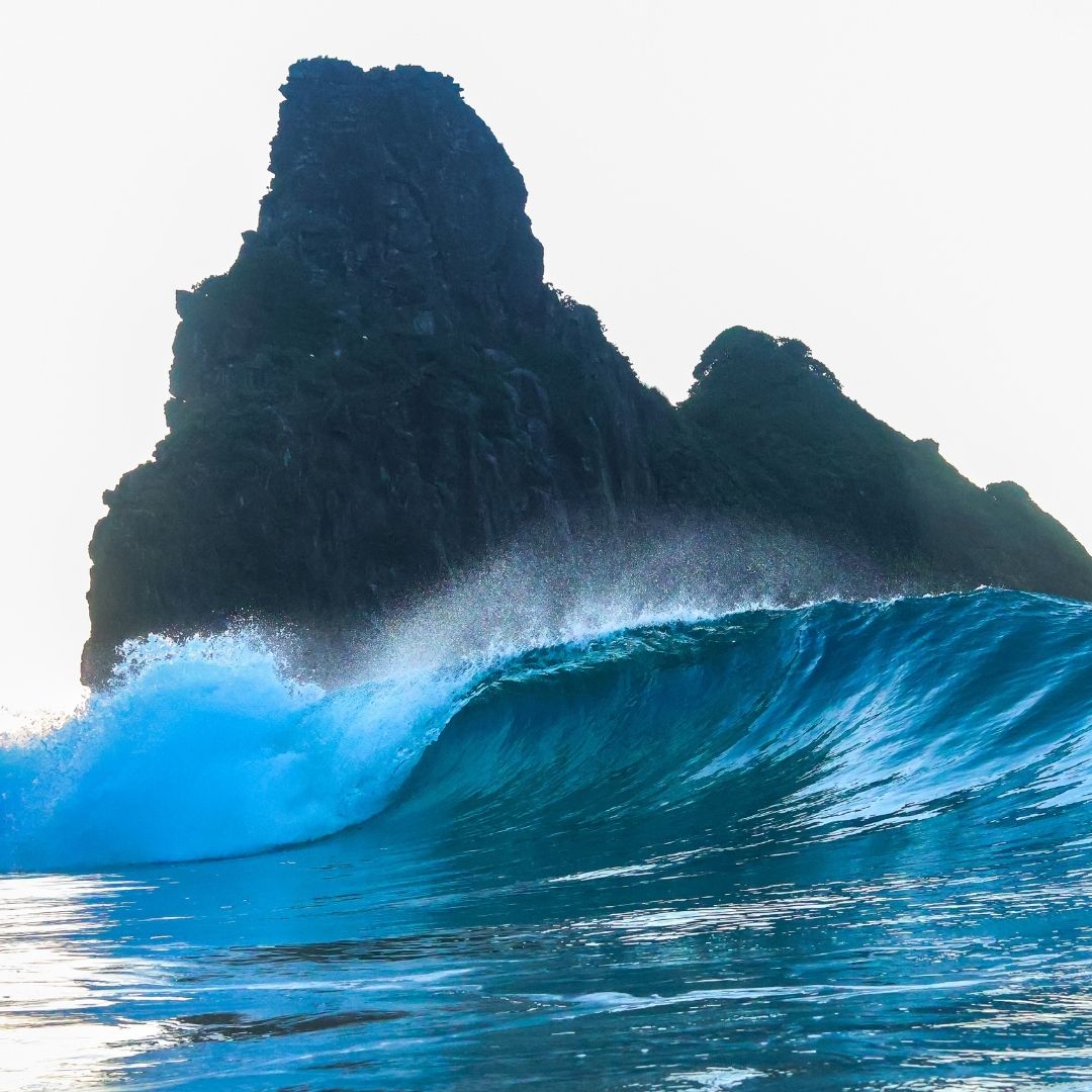 SUA CASA EM NORONHA com Gustavo Cabeh - Imagem 5