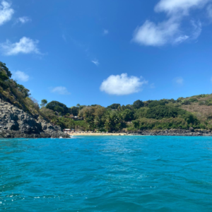 PASSEIO CANOA HAVAIANA COM REDE COMPARTILHADO | FERNANDO DE NORONHA - Image 3