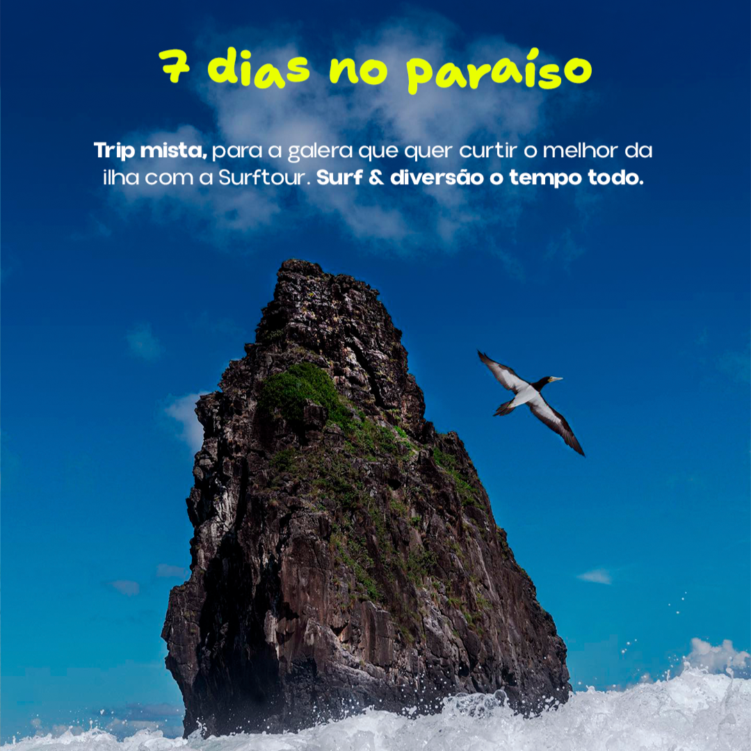 SUA CASA EM NORONHA com Gustavo Cabeh - Imagem 2