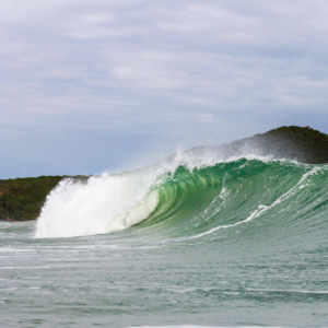 PRAIA DO ROSA | IMBITUBA - Image 7