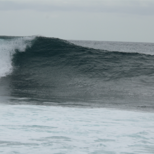 SURFCAMP - ILHAS GALAPAGOS COM COSTA VERDE TRIPS & SALTYSISTERS - Image 12