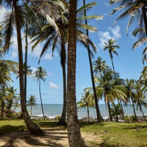 SURFCAMP - ITACARÉ COM RICARDO COZZI - Imagem 10