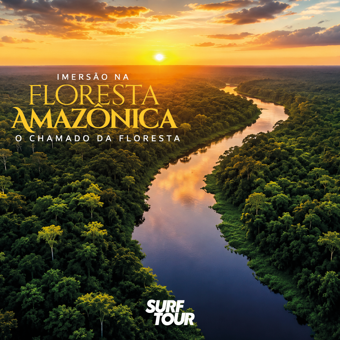 IMERSÃO NA FLORESTA AMAZÔNICA