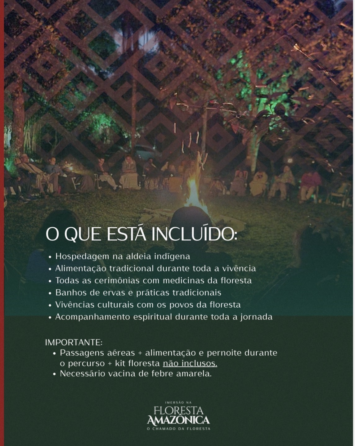IMERSÃO NA FLORESTA AMAZÔNICA - Imagem 3